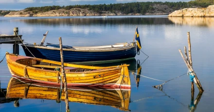 pexels ullehaddock 15891798