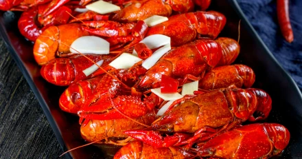 siochina crayfish 3343259