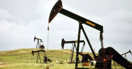 OIL