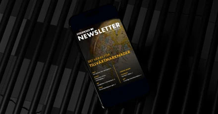 Stockpicker Newsletter mobile